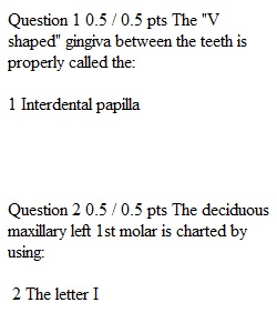 Quiz 4